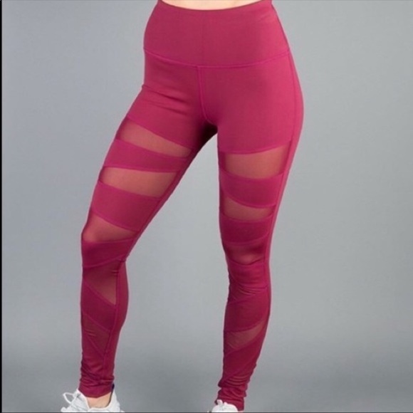 Buffbunny Collection Pants - BuffBunny Anastasia Mesh Cutout Leggings
